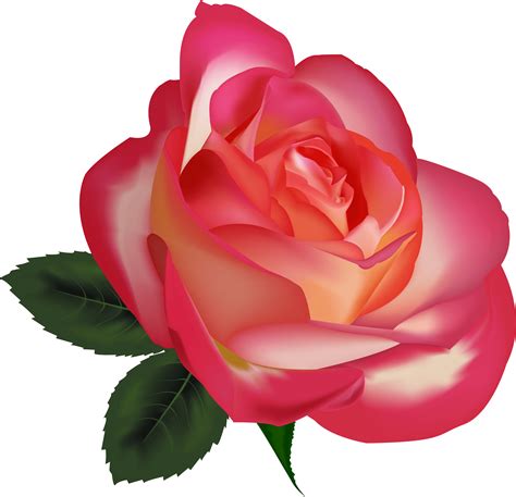 Flower Clipart PNGs for Free Download .